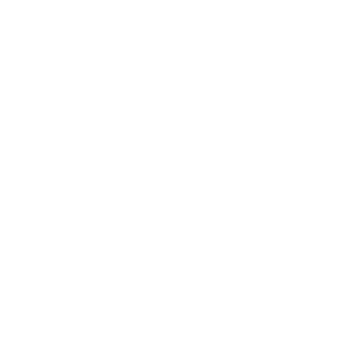 Axenora Strategic Services N.V. Casinos White Logo